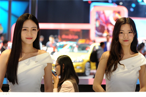 上海的环境保护与经济发展的平衡